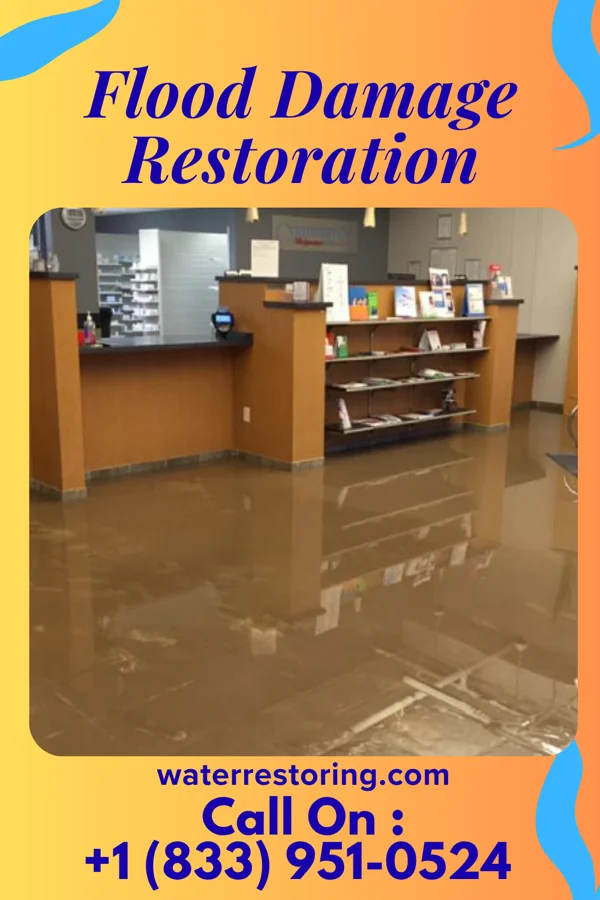 Flood Damage Restoration in Cedar Bluff, AL