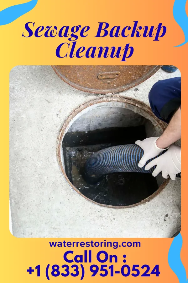 Sewage Backup Cleanup in Cedar Bluff, AL