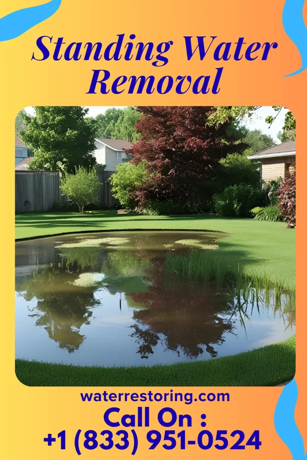Standing Water Removal in Cedar Bluff, AL